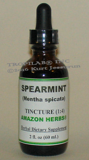 Mentha spicata - Spearmint tincture (Tropilab).